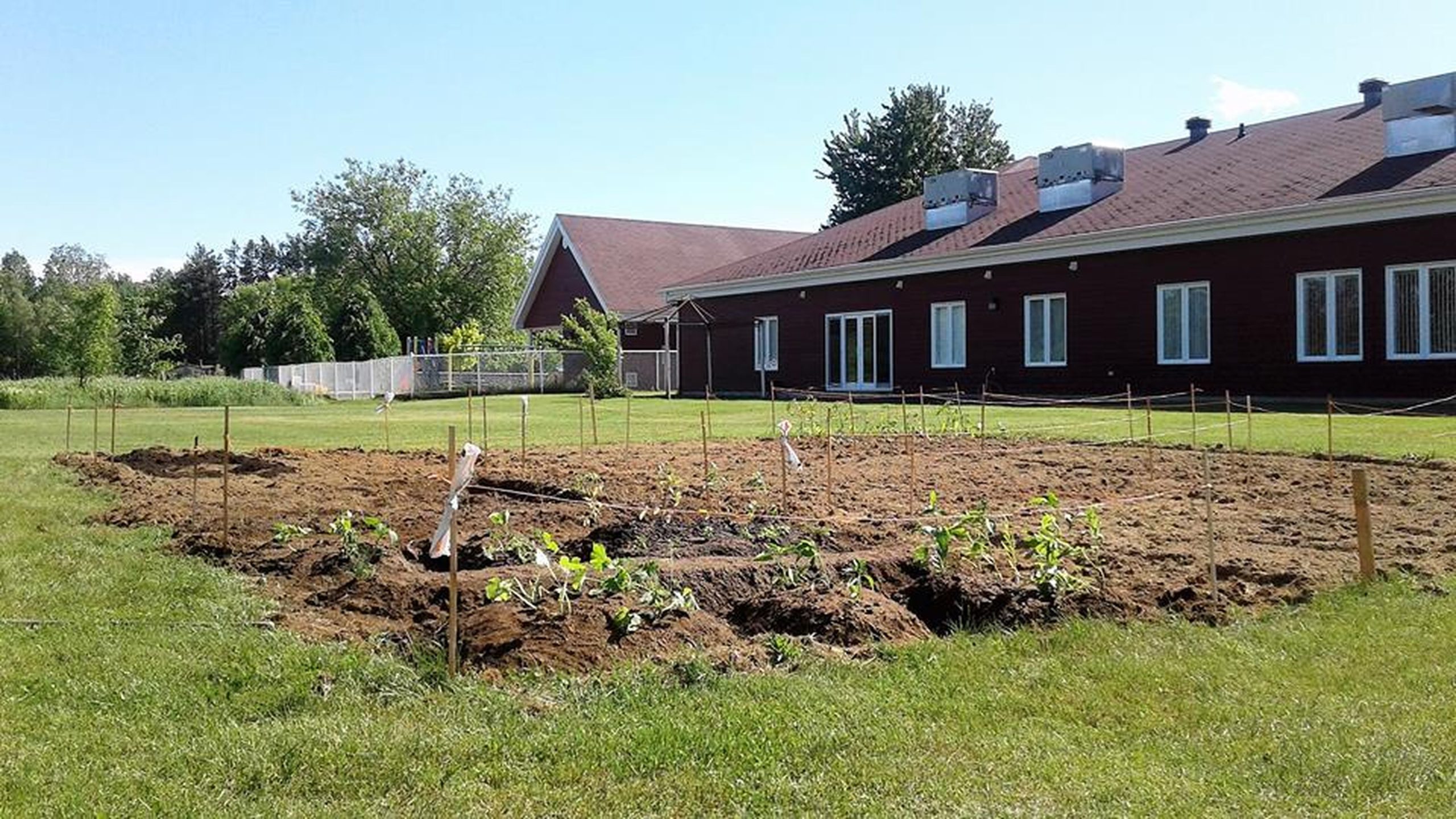 Un jardin communautaire à SainteGenevièvedeBatiscan L’Hebdo Journal