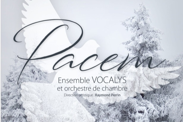 Concerto Vocalys pela Paz