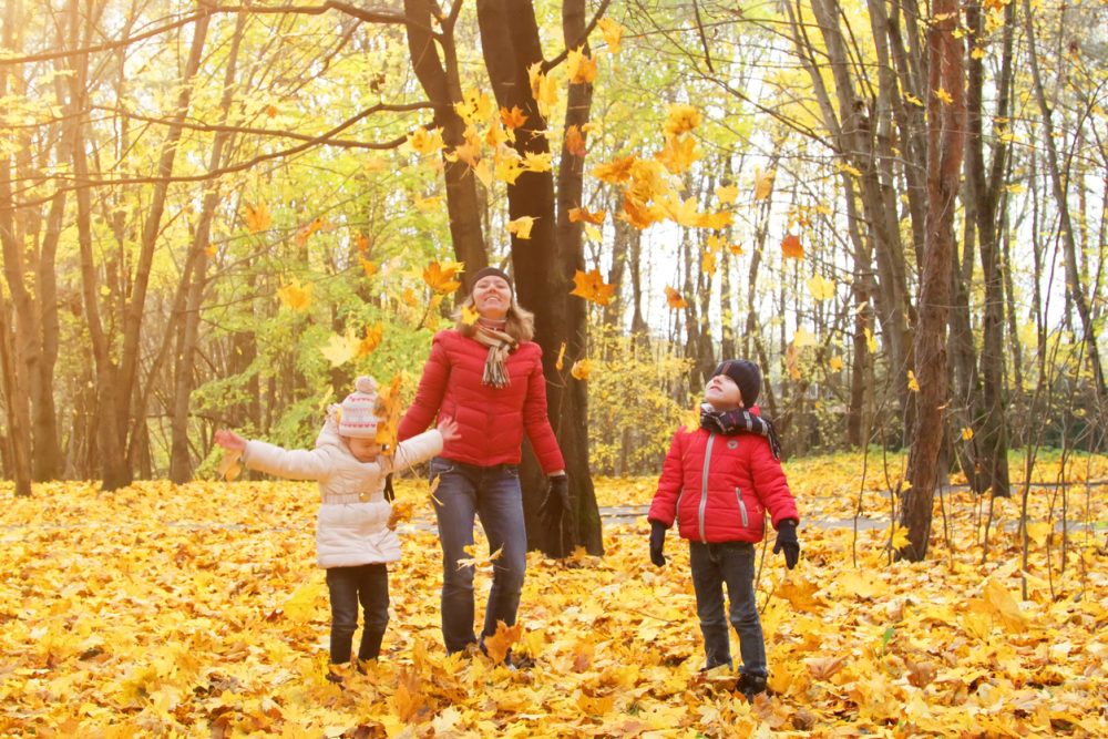 Une mère et ses enfants se promenant dans la forêt à l’automne.