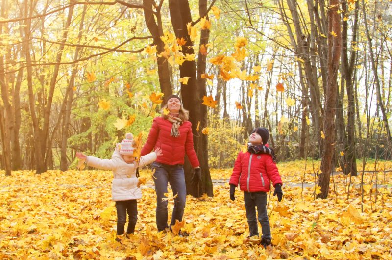 Une mère et ses enfants se promenant dans la forêt à l’automne.